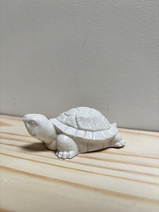 Petite tortue