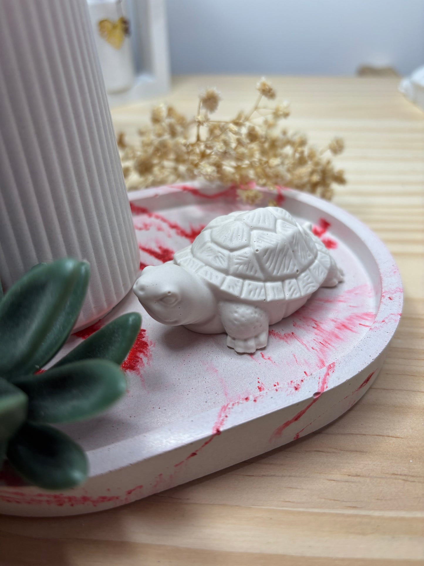 Petite tortue intérieure
