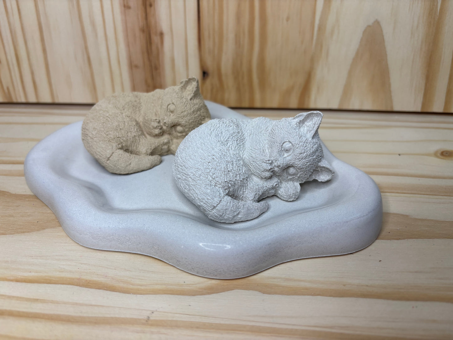 Chat en boule