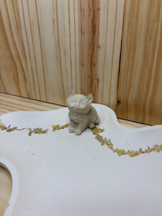 Chat assis poils longs