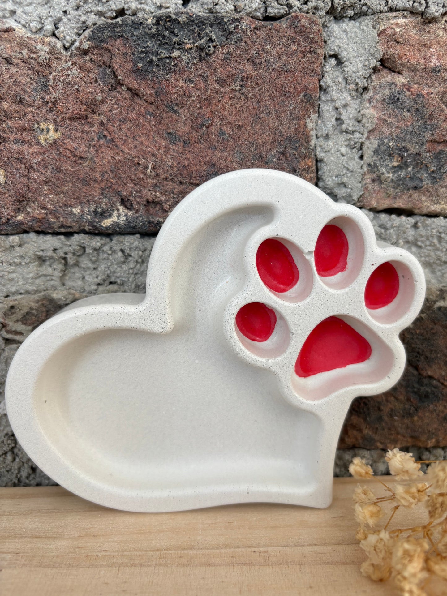 Plateau "chat"