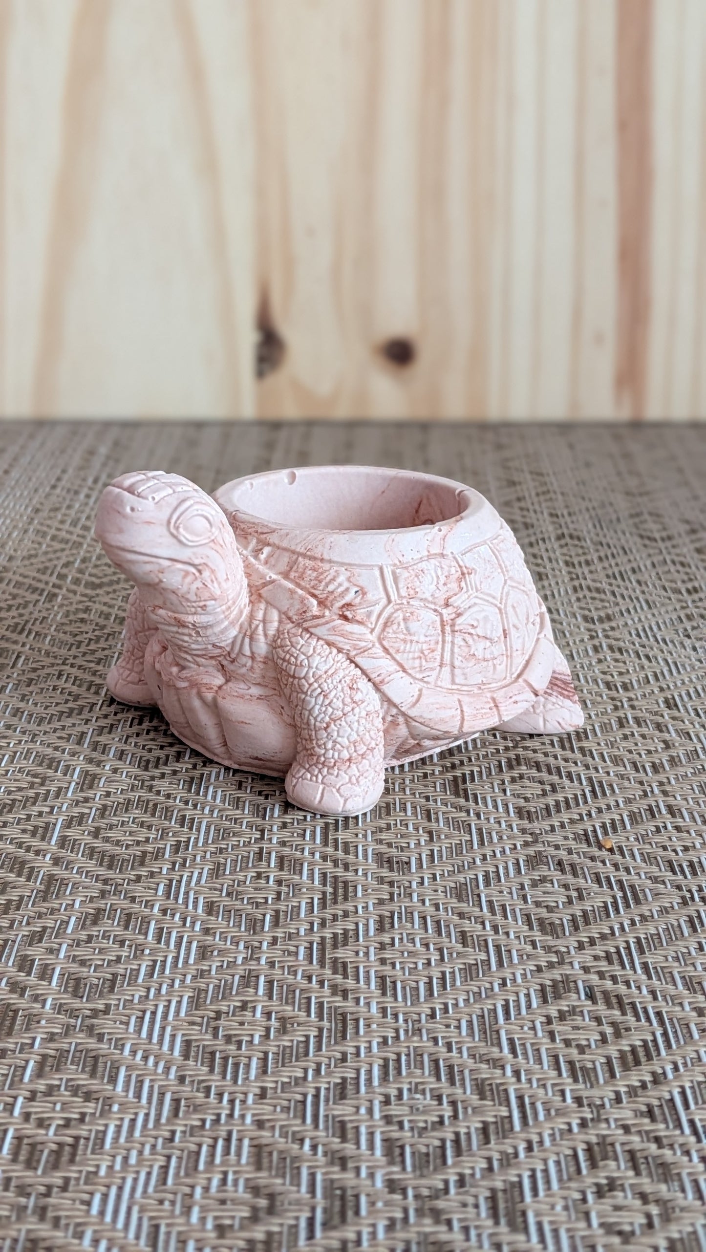 Vase tortue