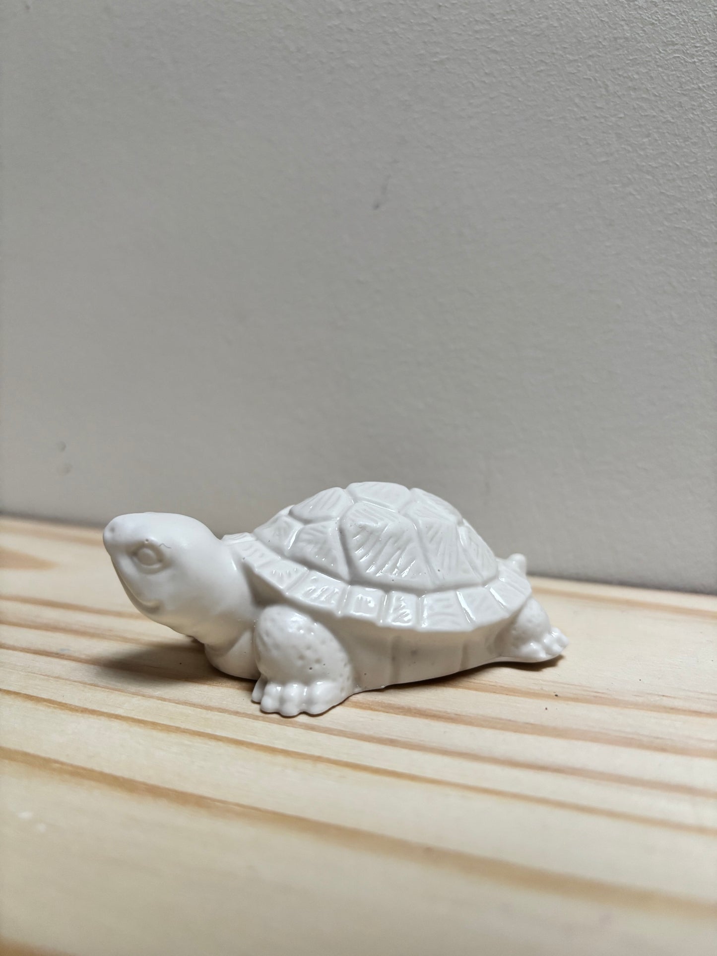 Petite tortue