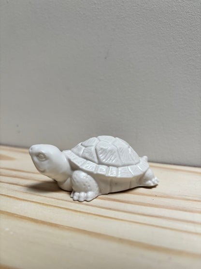 Petite tortue