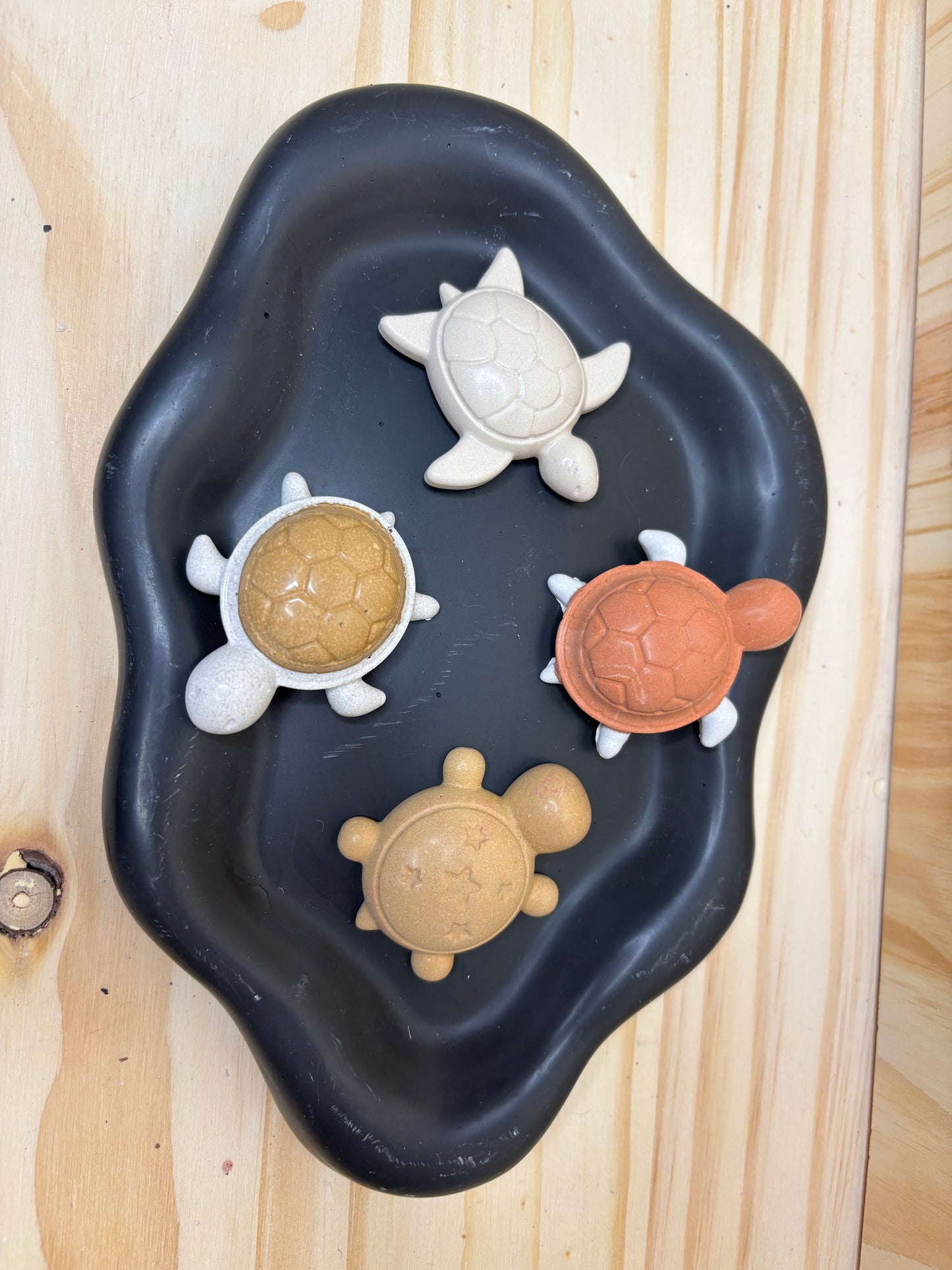 Lot 4 aimants tortue 🐢