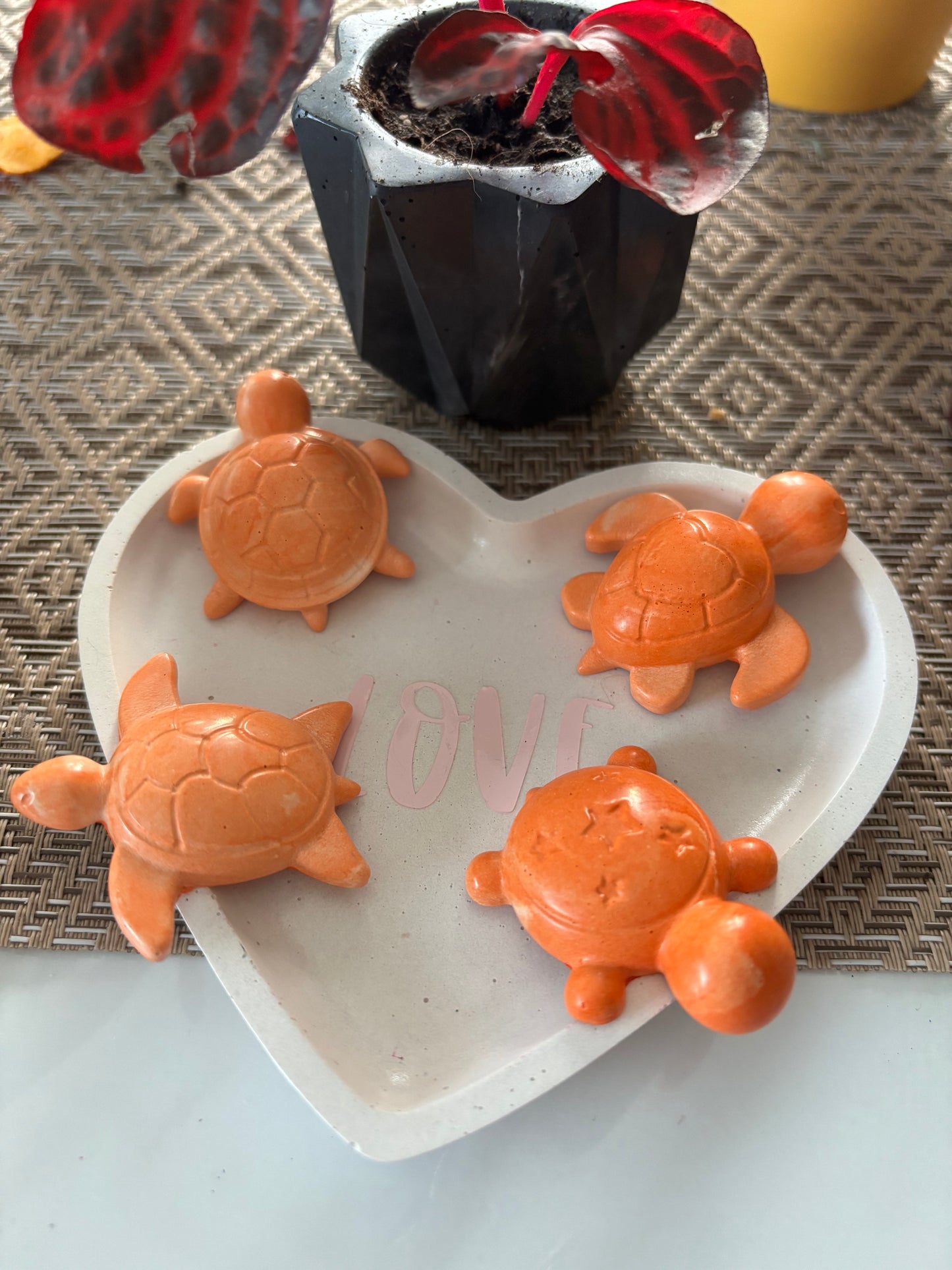 Lot 4 aimants tortue 🐢