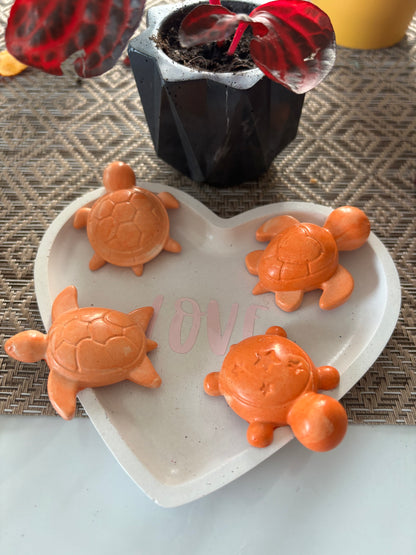 Lot 4 aimants tortue 🐢