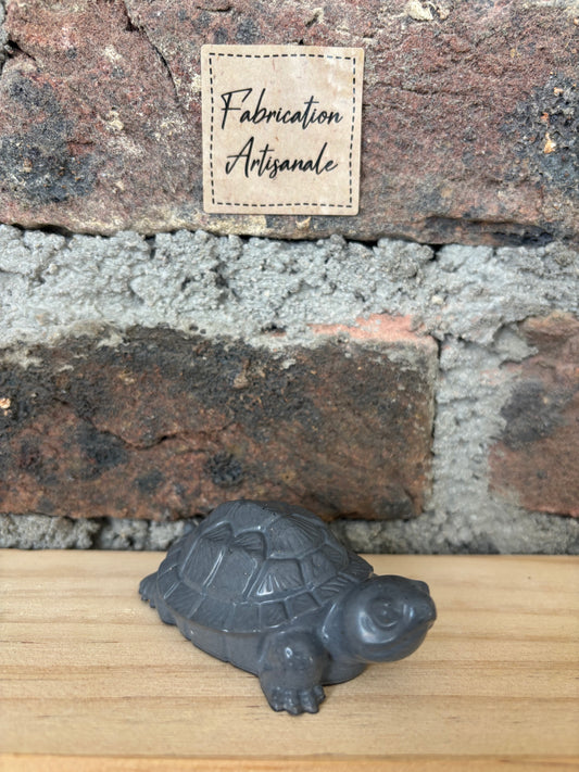 Petite tortue
