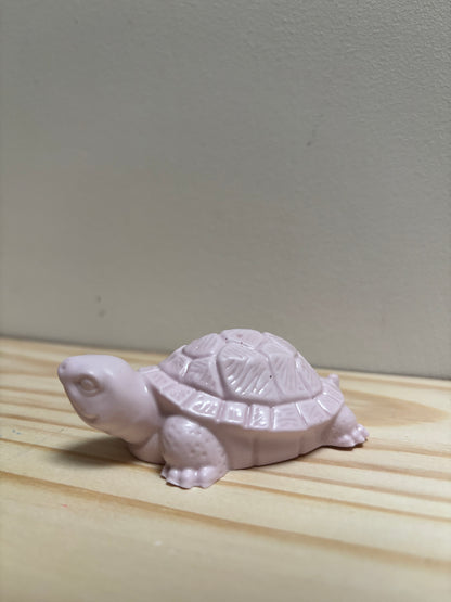 Petite tortue