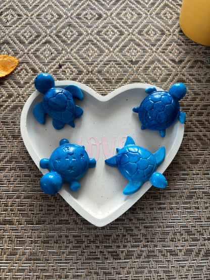 Lot 4 aimants tortue 🐢