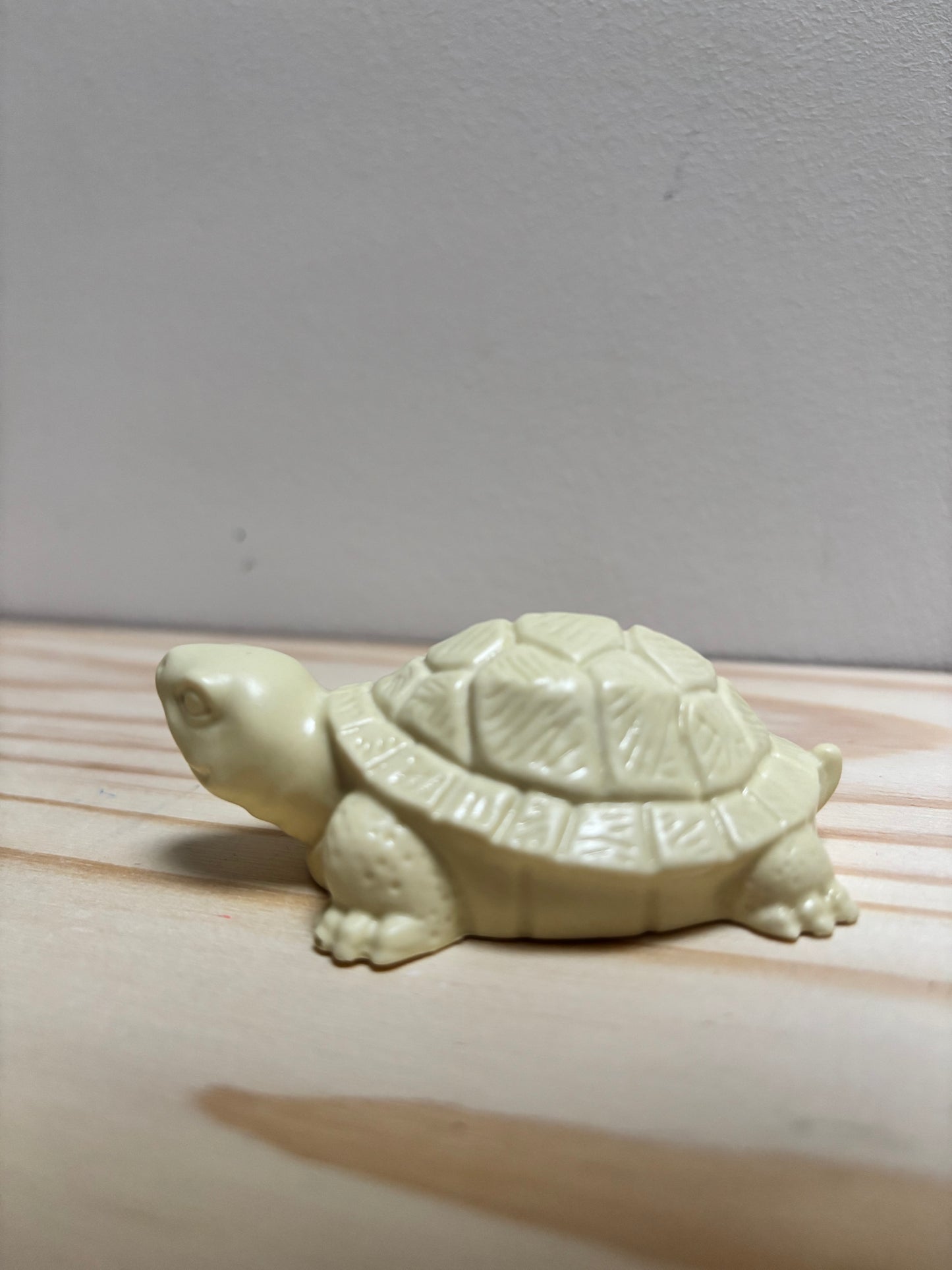Petite tortue