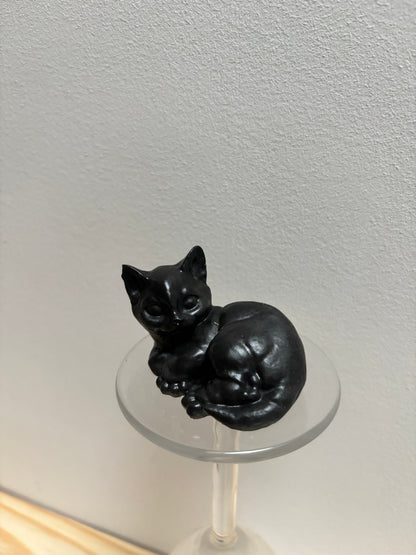 Chat allongé
