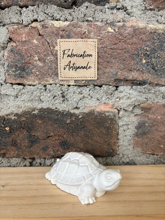 Petite tortue