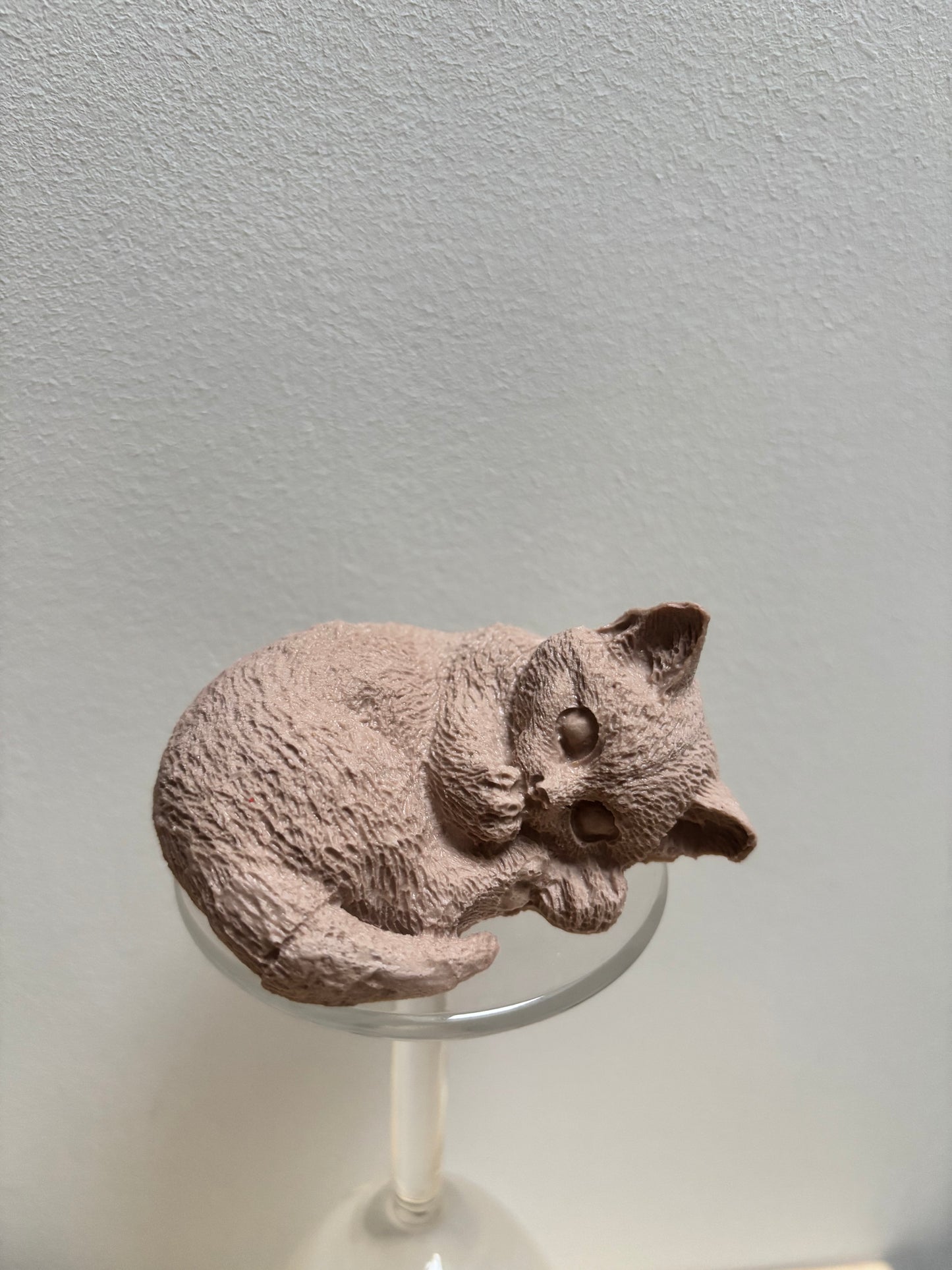 Chat en boule