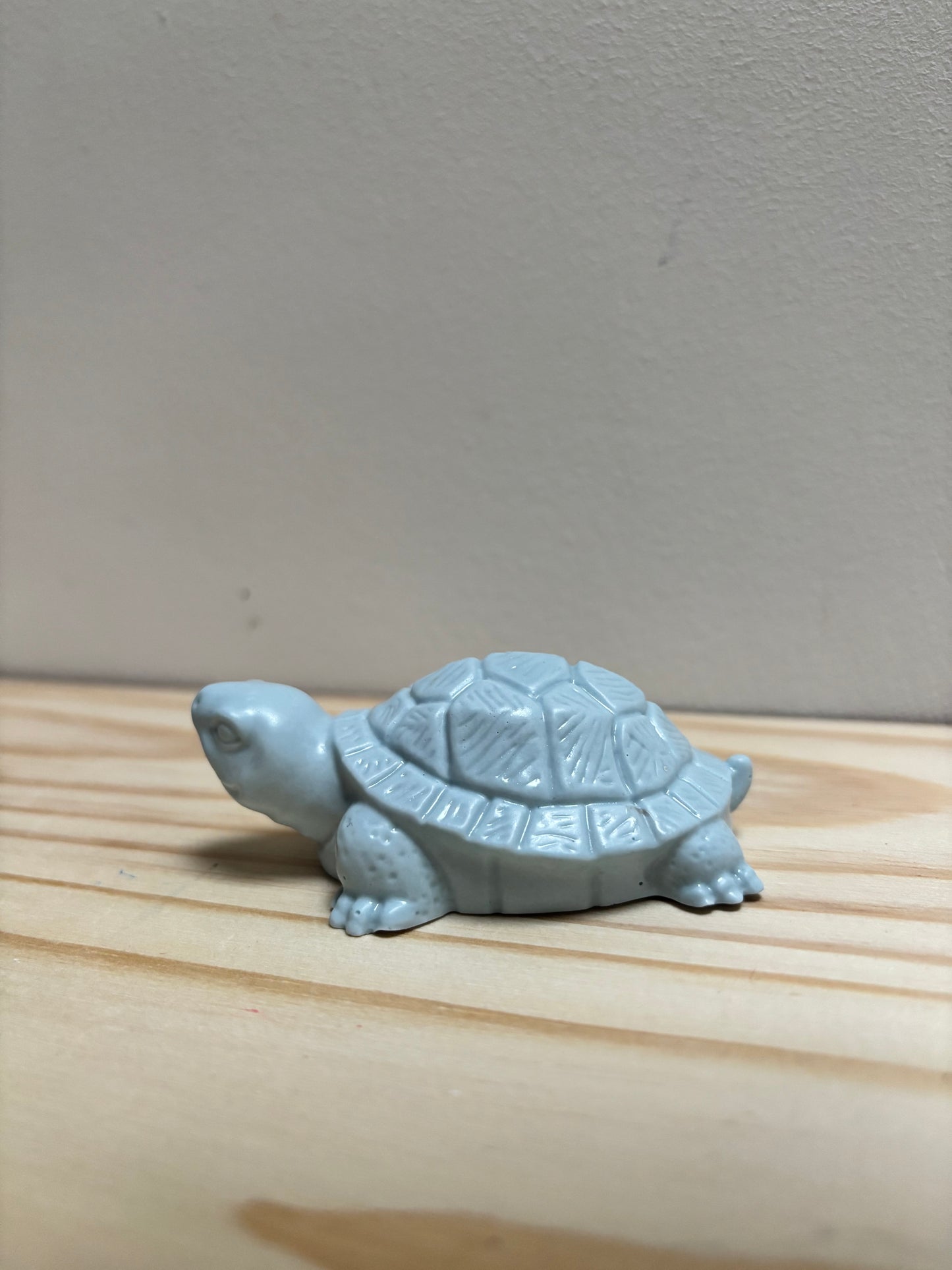 Petite tortue