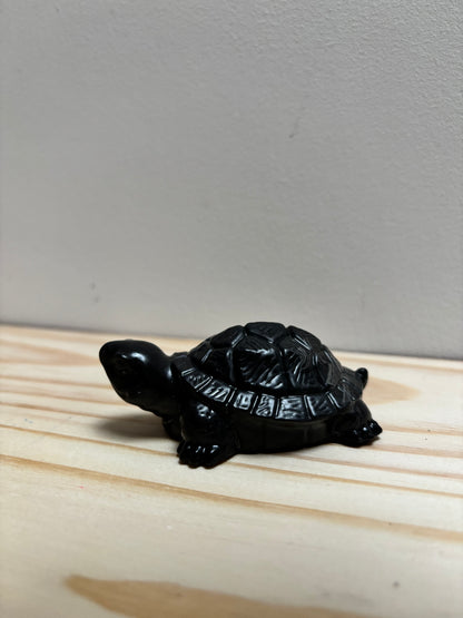 Petite tortue