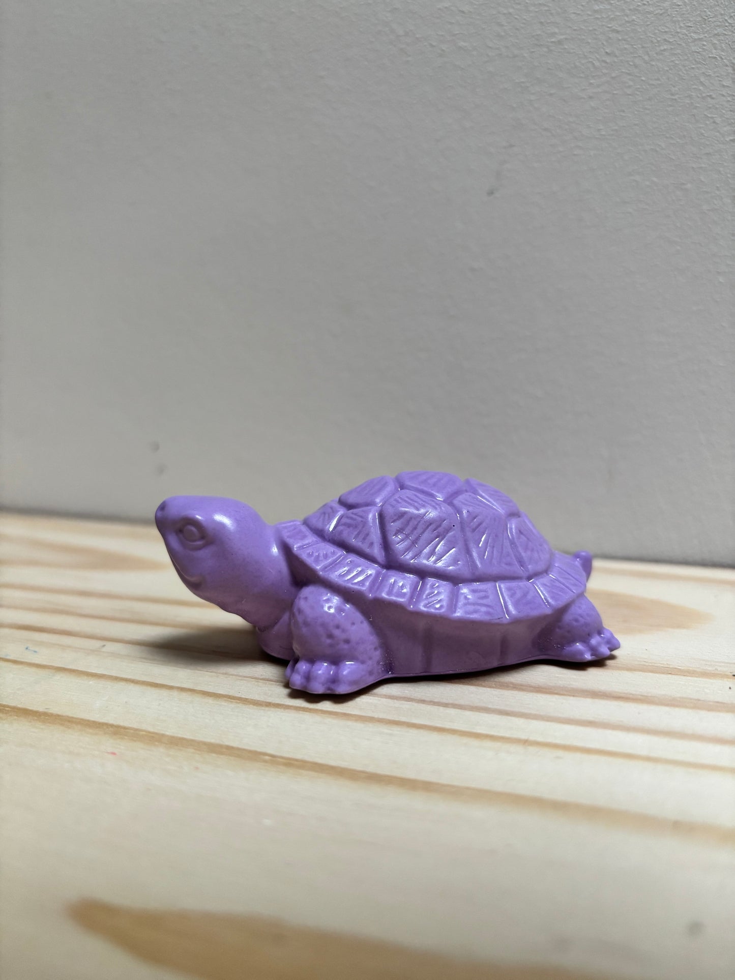 Petite tortue