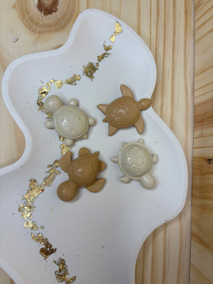 Lot 4 aimants tortue 🐢