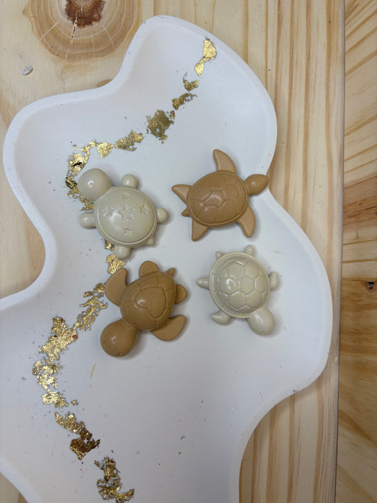 Lot 4 aimants tortue 🐢