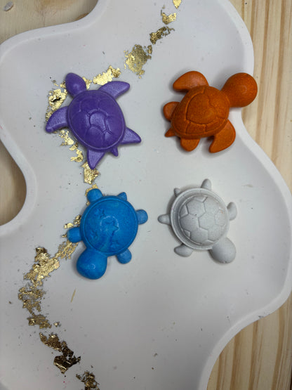 Lot 4 aimants tortue 🐢