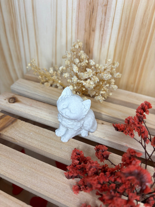 Chat assis poils longs