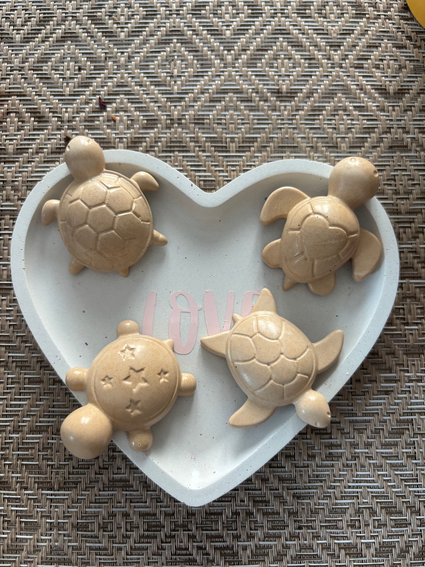 Lot 4 aimants tortue 🐢