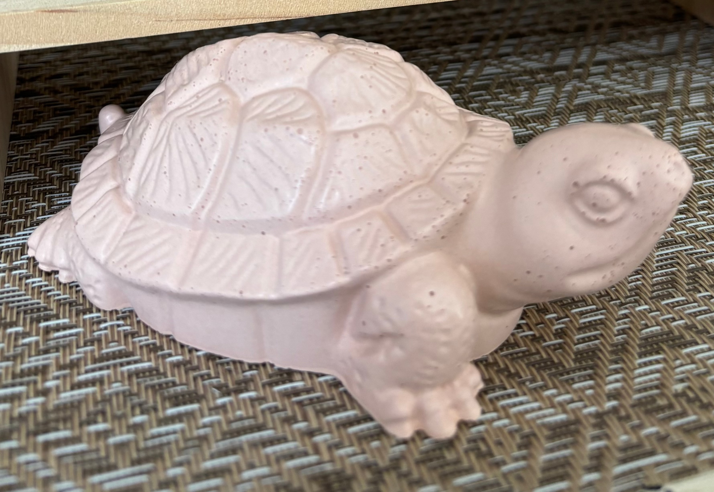 Grande tortue