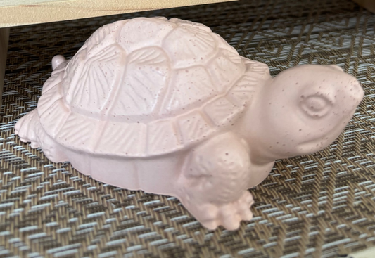 Grande tortue