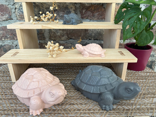 Grande tortue