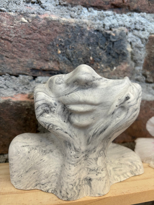 Vase visage