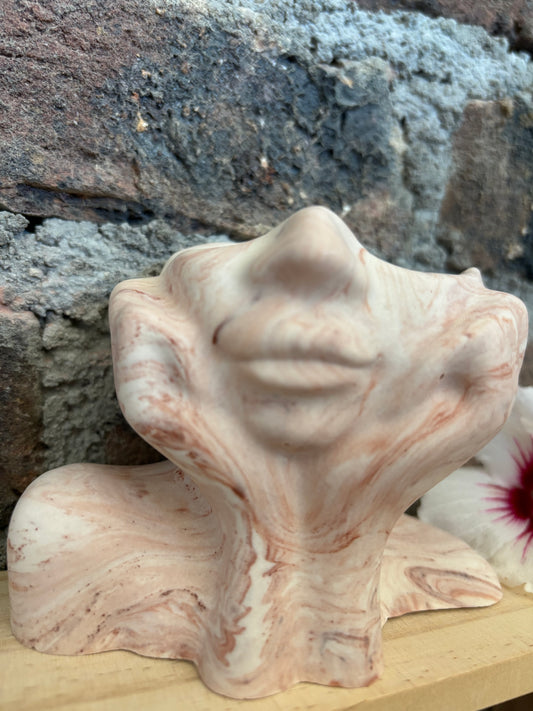 Vase visage