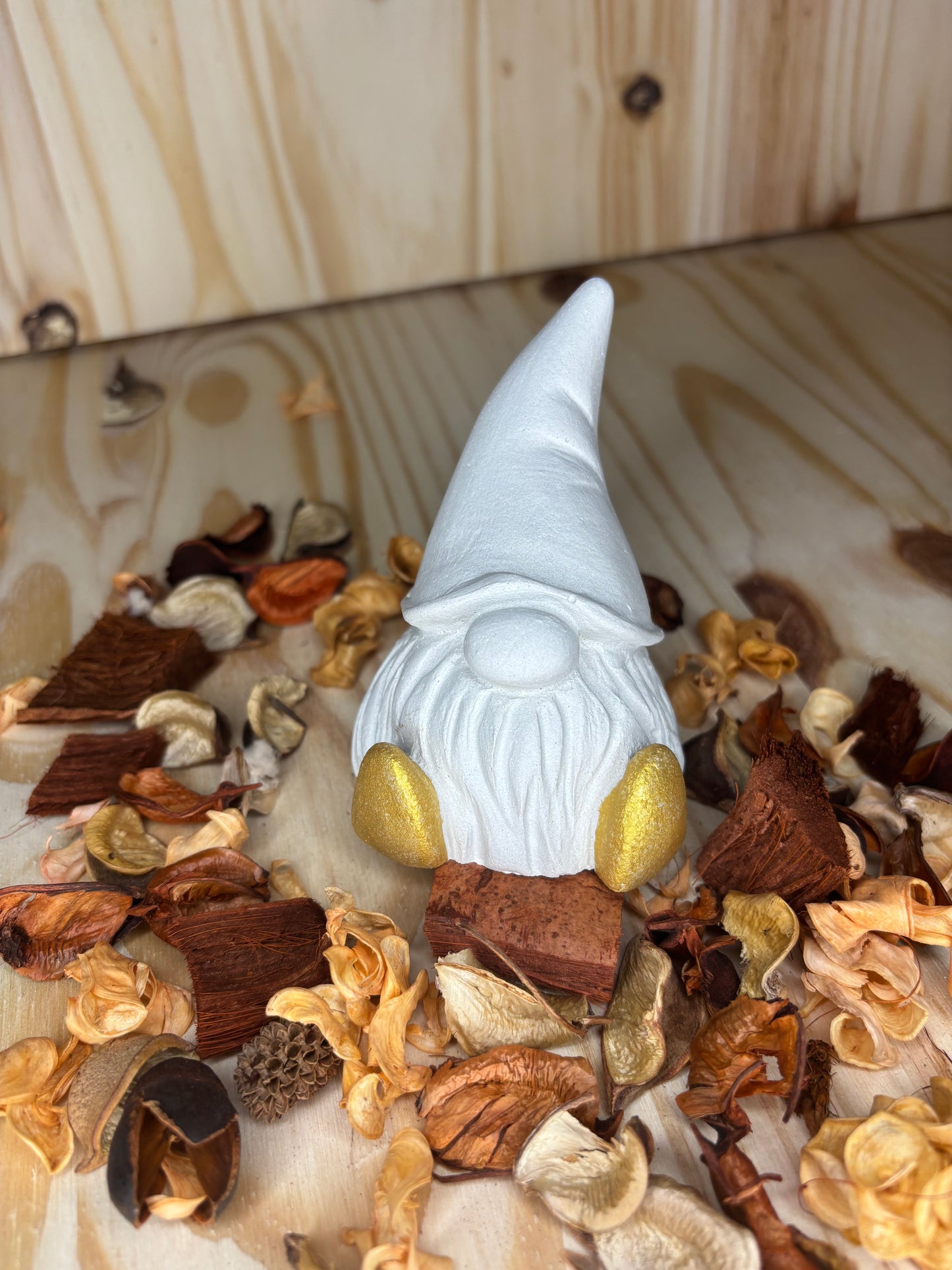 Grand gnome OR
