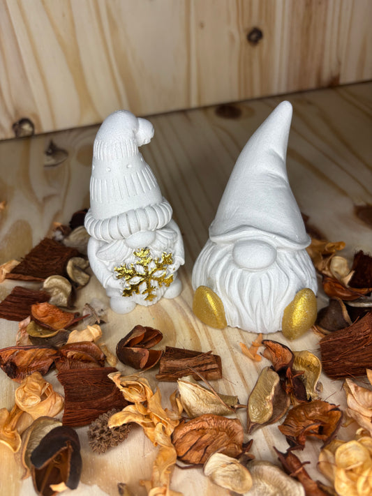 LOT DE 2 GNOMES