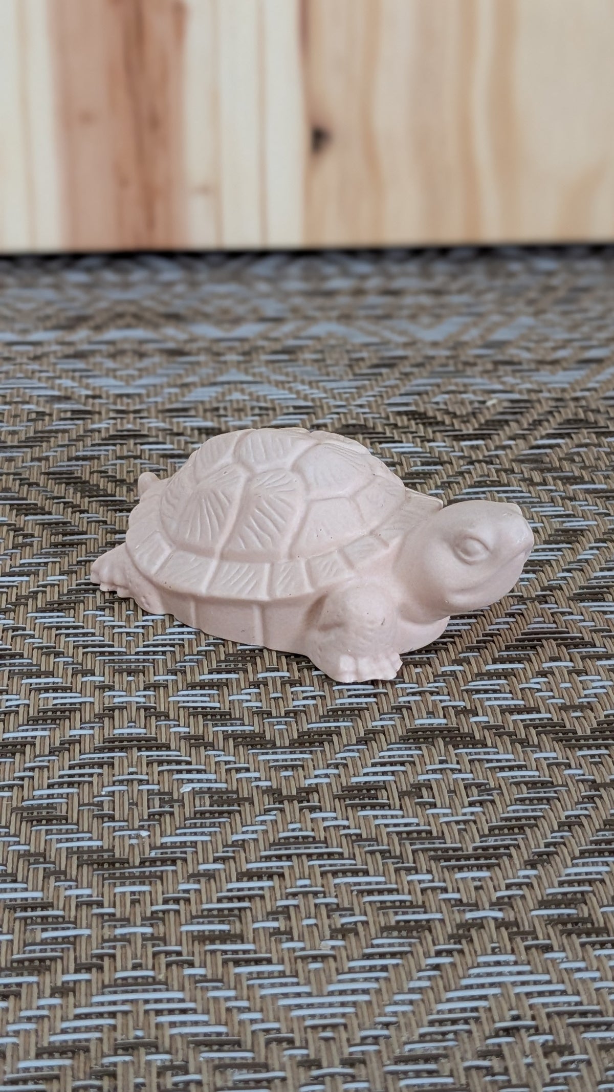 Petite tortue