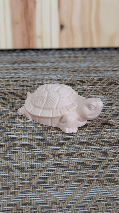 Petite tortue