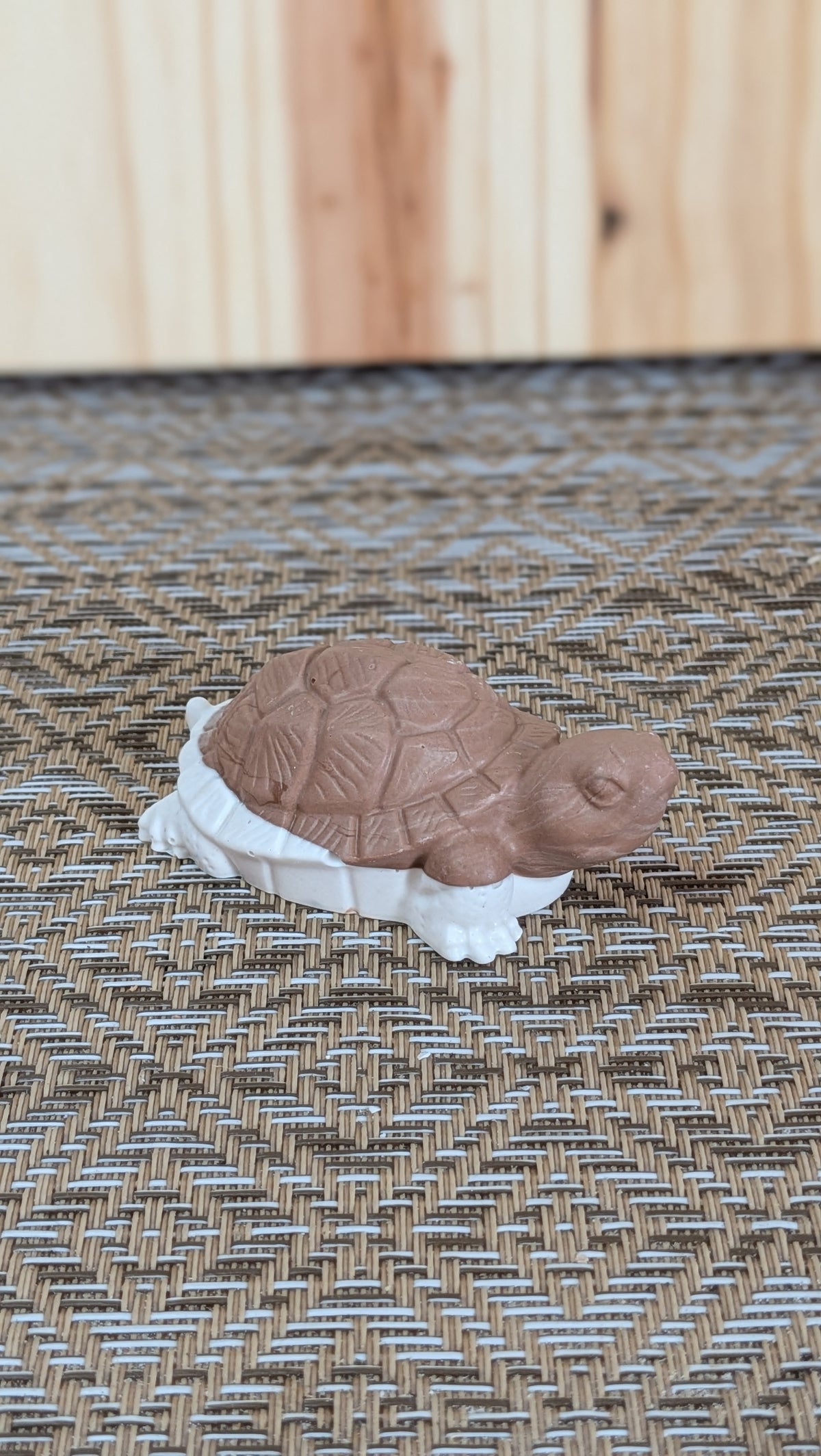 Petite tortue