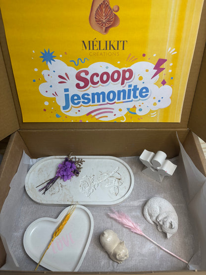 EXEMPLE DE SCOOP 25€